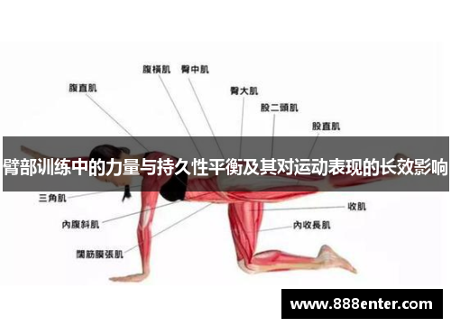 臂部训练中的力量与持久性平衡及其对运动表现的长效影响